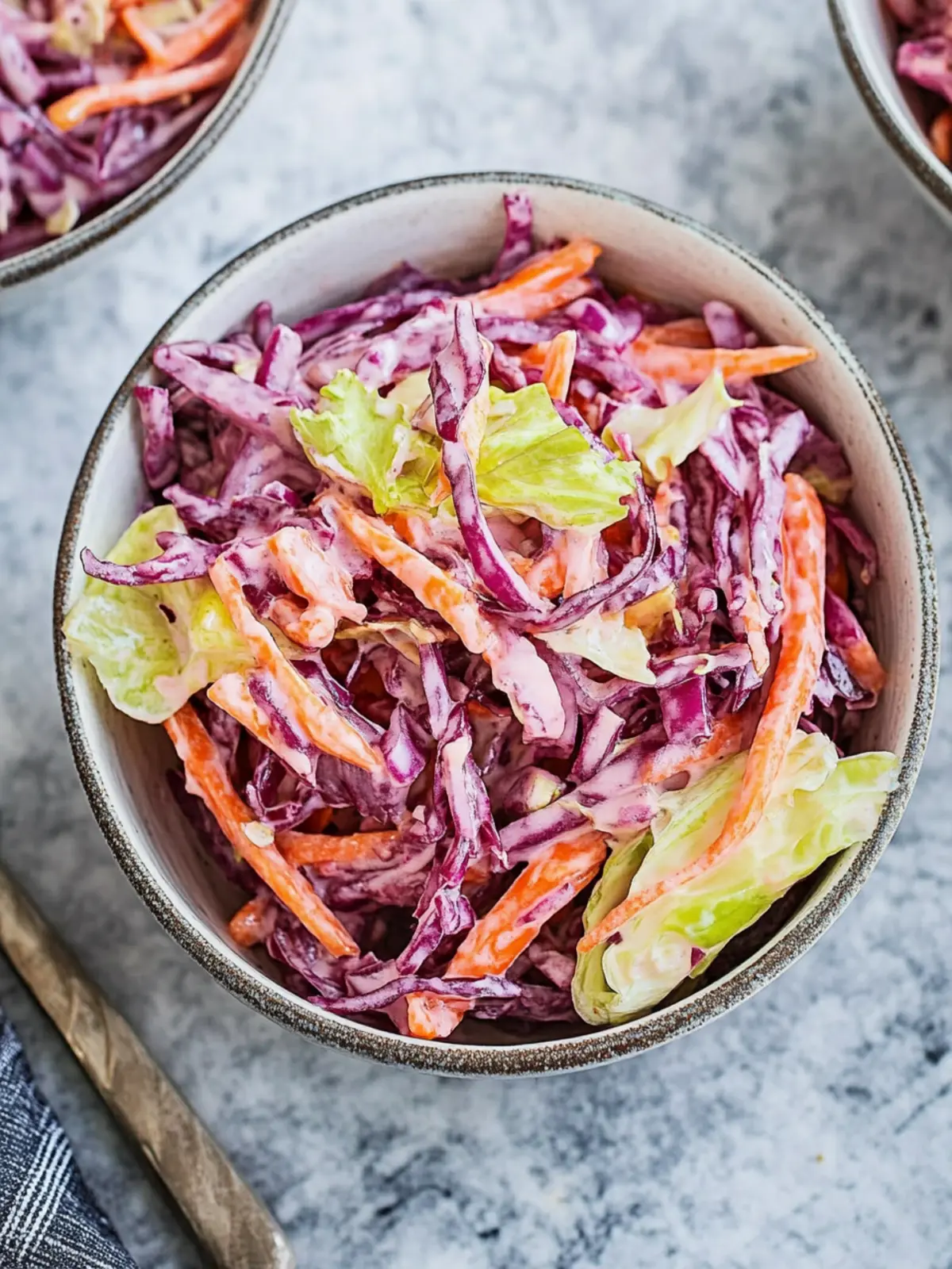Krautsalat mit Rotkohl